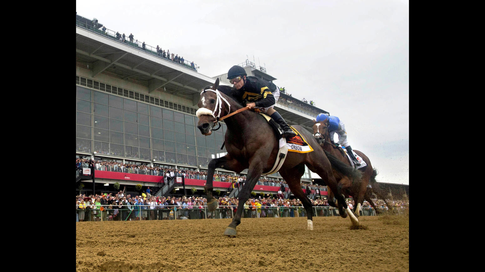 Preakness photos from years past